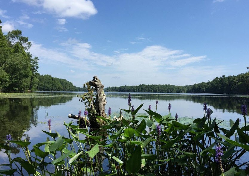 Whitehall State Park, Massachusetts, USA
